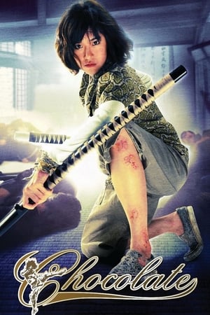 Chocolate (2008) Hindi Dual Audio [830MB] HD Poster Download - filmyfly