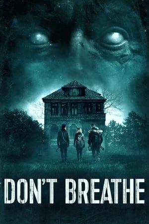 Don't Breathe (2016) Hindi Dual Audio 300MB HD Poster Download - filmyfly