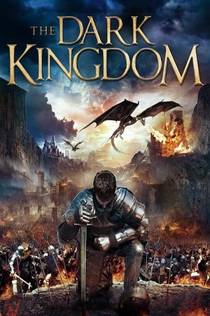 Dragon Kingdom (2018) Hindi Dual Audio [850MB] HD Poster Download - filmyfly