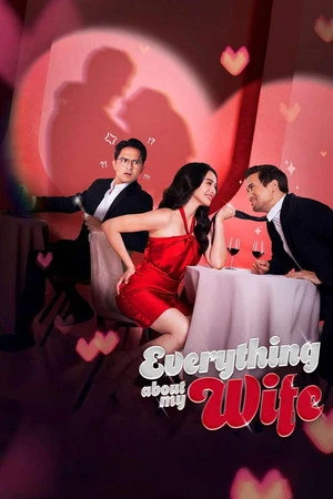Everything About My Wife (2025) Hindi (MULTI AUDIO) – – HD Poster Download - filmyfly