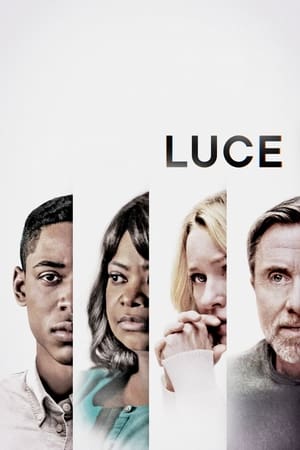 Luce 2019 Hindi Dual Audio 340MB
