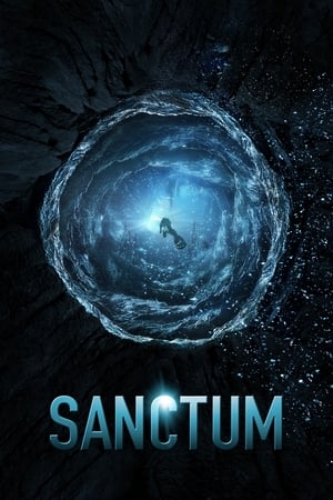 Sanctum (2011) Hindi Dual Audio 300MB HD Poster Download - filmyfly
